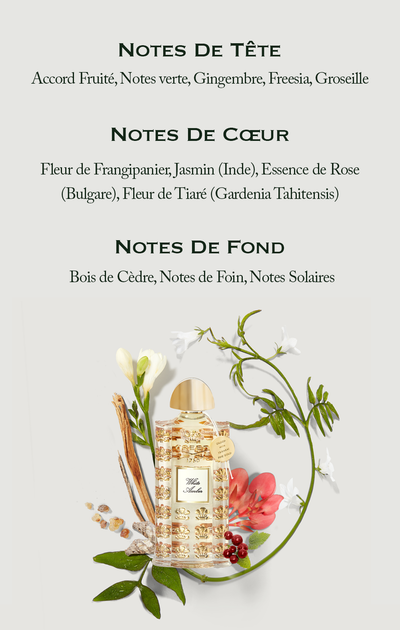 Text listing perfume notes: NOTES DE TÊTE Accord Fruité, Notes verte, Gingembre, Freesia, Groseille, NOTES DE CŒUR Fleur de Frangipanier, Jasmin (Inde), Essence de Rose (Bulgare), Fleur de Tiaré (Gardenia Tahitensis), NOTES DE FOND Bois de Cèdre, Notes de Foin, Notes Solaires, below a perfume bottle surrounded by botanicals, with visible text on the bottle tag and label: 1760 White Amber GULDED WITH VERRE EGLOMISÉ FINE GOLD.