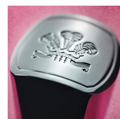 Close-up of a shiny silver cap with the Prince of Waless feathers emblem on it against a pink background.