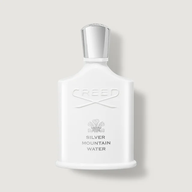Silver Mountain Water