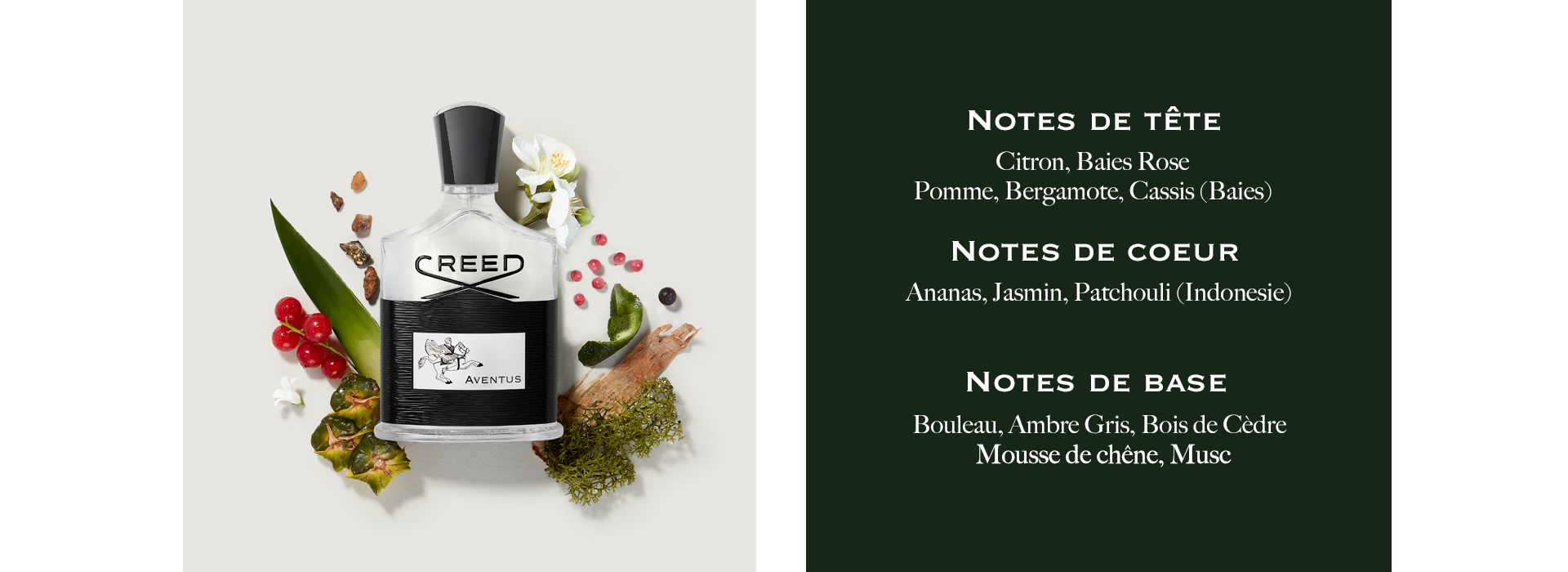 Notes De Tête: Citron, Baies Rose, Pomme, Bergamote, Cassis (Baies). Notes De Couer: Ananas, Jasmine, Patchouli (Indonesie). Notes De Base: Bouleau, Ambre Gris, Bois De Cèdre, Mousse De Chêne, Musc.