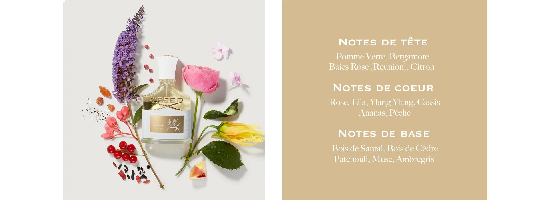 Notes De Tete: Pomme Verte, Bergamote, Baies Rose (Reunion), Citron. Notes De Coeur: Rose, Lila, Ylang Ylang, Cassis, Ananas, Peche. Notes De Base: Bois De Santal, Bois de Cedre, Patchouli, Muse. Ambregris.