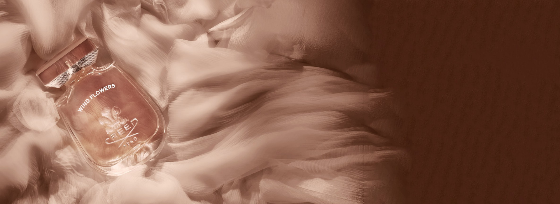 Wind Flowers